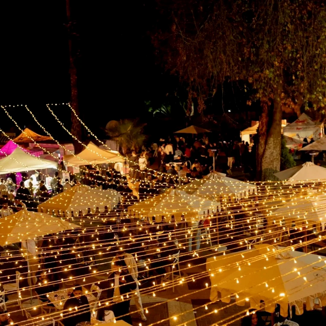 An open-air evening event beneath trees, with dense warm fairy lights strung above long rows of tables and umbrellas